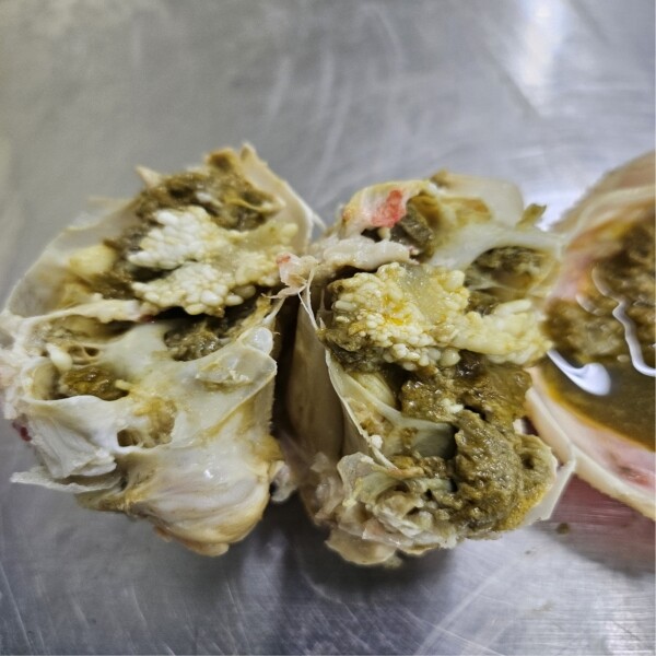 홍게,붉은대게,대게,러시아대게,홍게다리,국물용홍게,속초홍게,국내산홍게,국산홍게,국산,국내산,자숙홍게